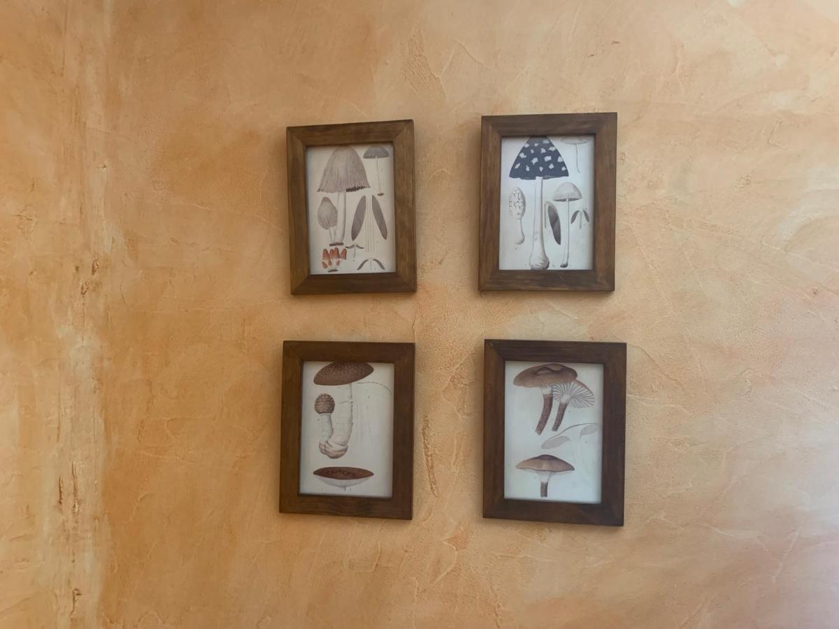 Appartamento Casa Del Plantel San Ildefonso Esterno foto